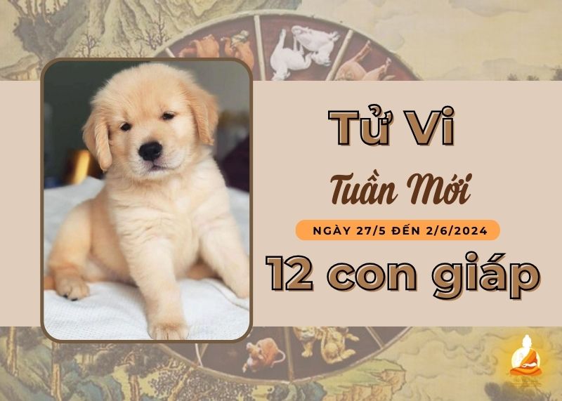 Xem tử vi tuần mới của 12 con giáp 27/5 - 2/6/2024: Dần cố gắng hết sức, Tuất vận xui vay quanh