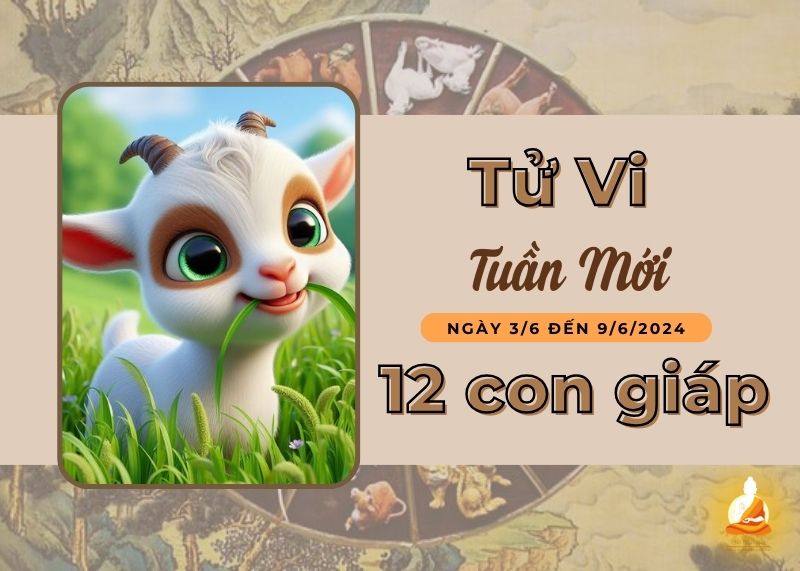Xem tử vi tuần mới của 12 con giáp 3/6 - 9/6/2024