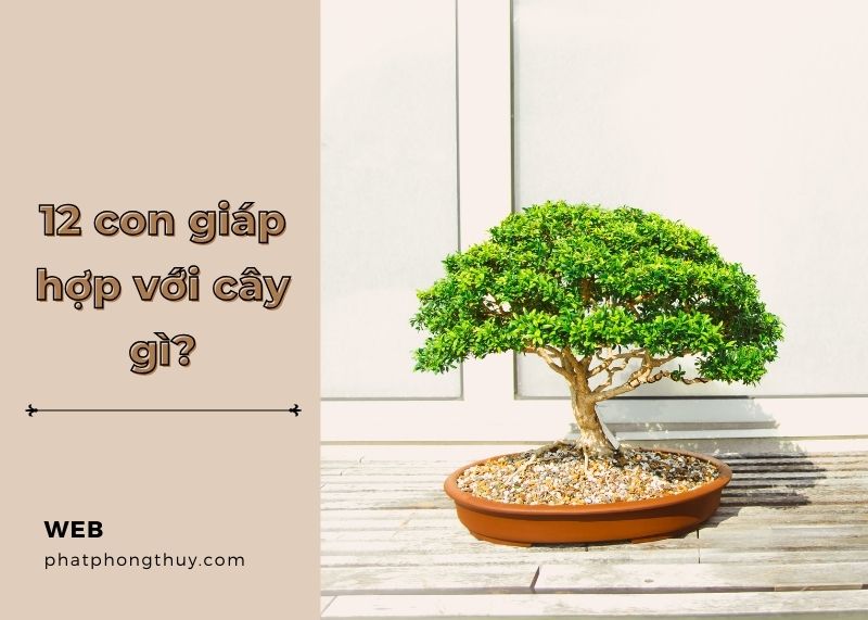 12 con giáp hợp với cây gì giúp giàu sang và tài vượng 