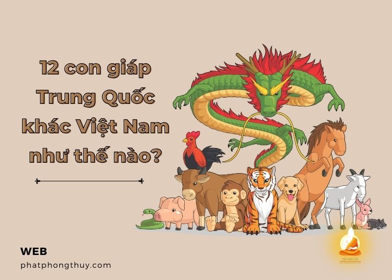 12 con giáp Trung Quốc khác Việt Nam như thế nào trong văn hóa?
