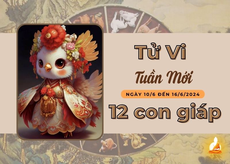 Xem tử vi tuần mới 10/6 - 16/6/2024 của 12 con giáp: Mão gặt hái thành quả, Dậu không nên cố chấp