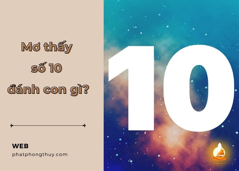 Mơ thấy số 10 đánh con gì may mắn? Giải mã giấc mơ chi tiết