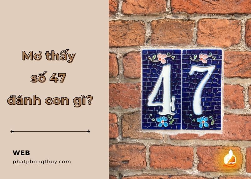 Giải mã giấc mơ thấy số 47 đánh con gì thì may mắn?