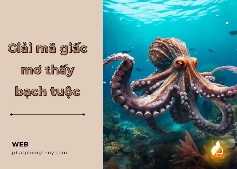 Giải mã giấc mơ thấy bạch tuộc xuất hiện báo hiệu điều gì?