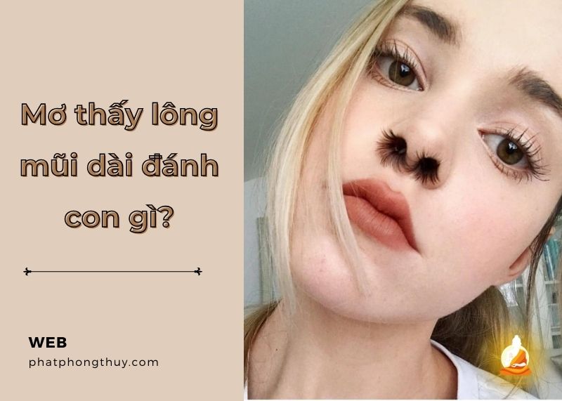 Giấc mơ thấy lông mũi dài đánh con gì? Bật mí con số may mắn