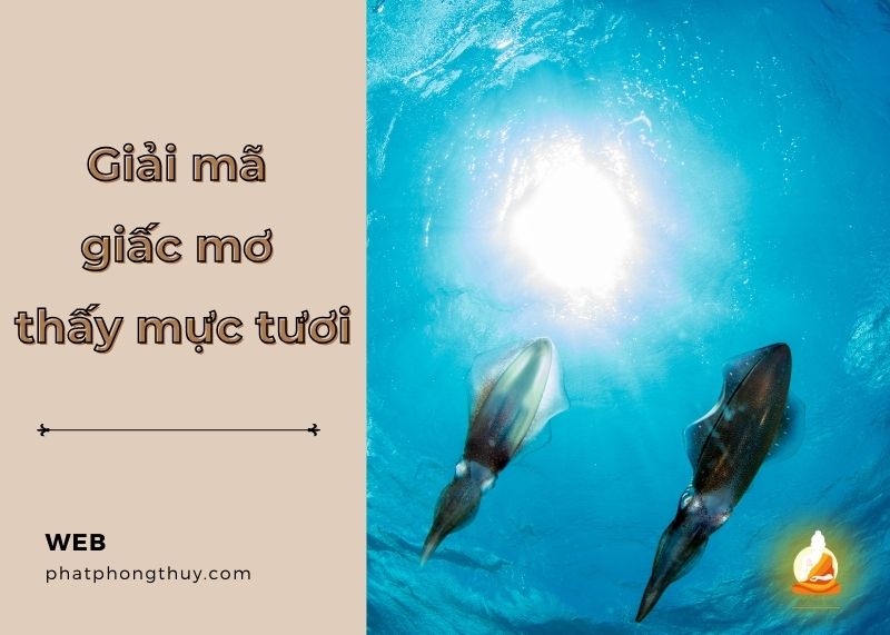 Mơ thấy mực tươi - Điềm báo gì về tài lộc và tình duyên?