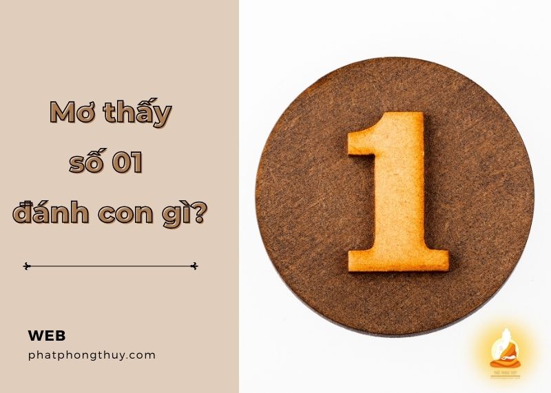 Mơ thấy số 01 đánh con gì? Ý nghĩa và con số may mắn