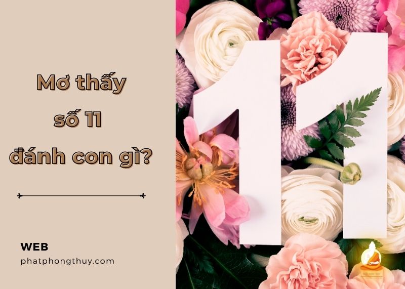 Bật mí mơ thấy số 11 đánh con gì để trúng lớn, đổi vận may?