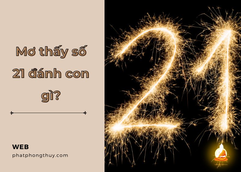 Giải mã giấc mơ thấy số 21 đánh con gì? Điềm báo gì?