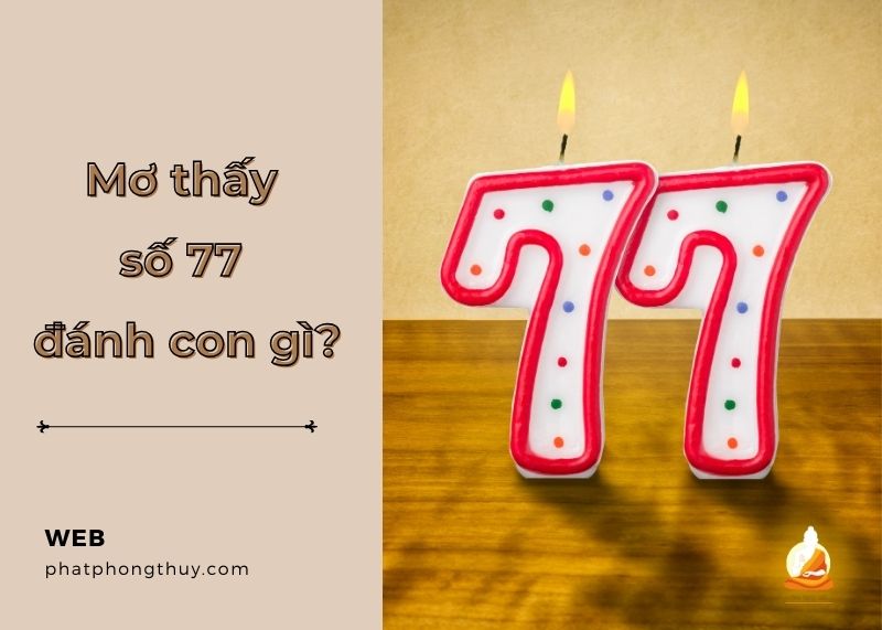 Mơ thấy số 77 đánh con gì? Giải mã giấc mơ và các con số may mắn