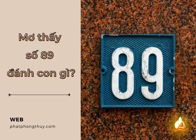 Bật mí mơ thấy số 89 đánh con gì và cách đánh để trúng lớn