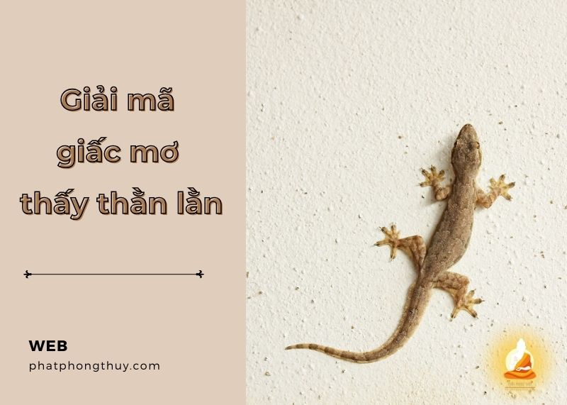 Giải mã giấc mơ thấy thằn lằn - Điềm báo may mắn hay rủi ro?