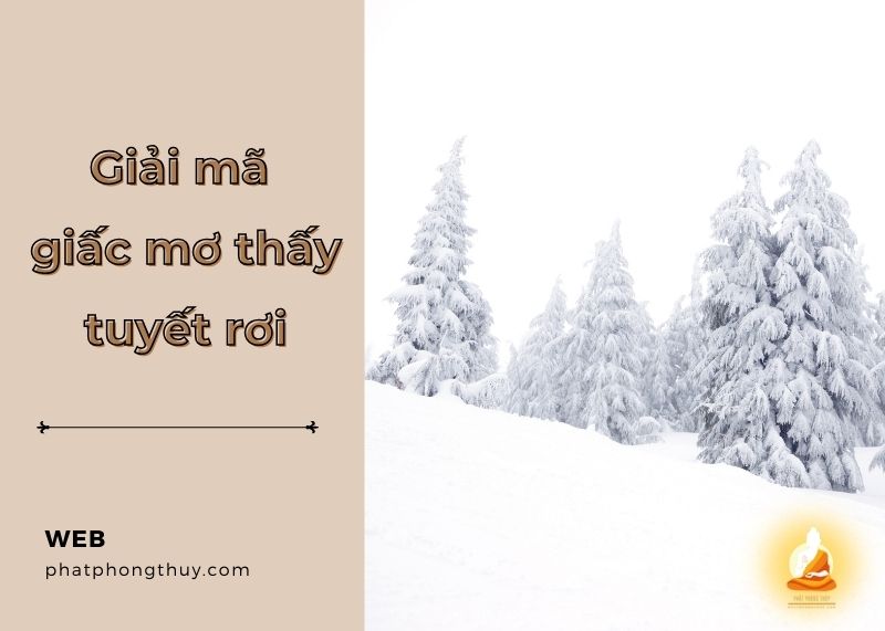 Giải mã giấc mơ thấy tuyết rơi là điềm báo gì? Con số liên quan