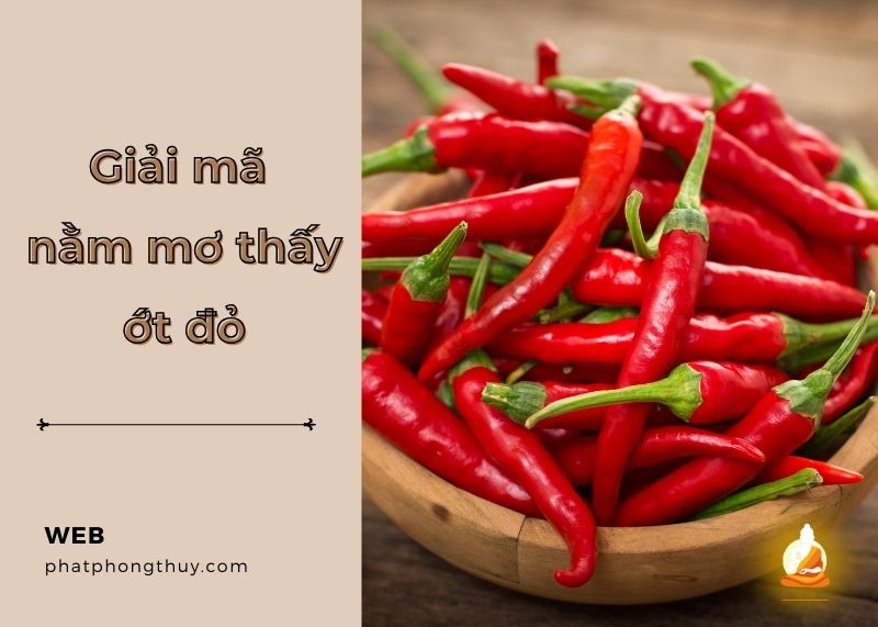 Nằm mơ thấy ớt đỏ - Tìm hiểu thông điệp tiềm ẩn từ giấc mơ