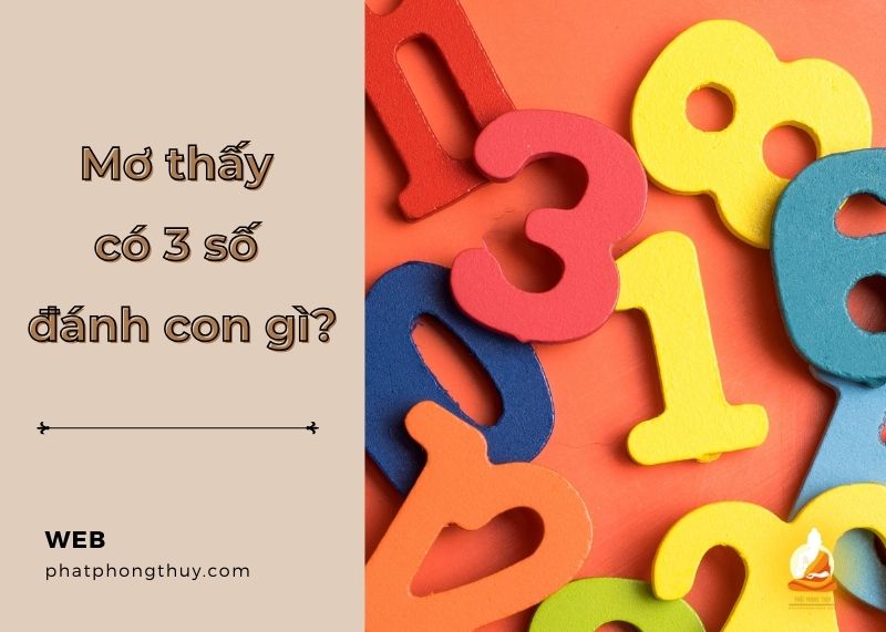 Mơ thấy có 3 số đánh con gì? Giải mã ý nghĩa tiềm thức mang đến