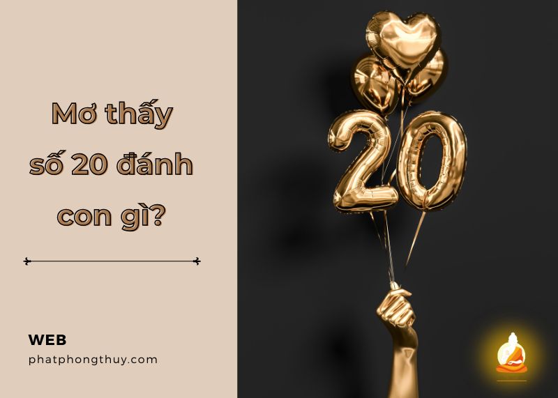 Giải mã điềm báo của giấc mơ thấy số 20 đánh con gì? 