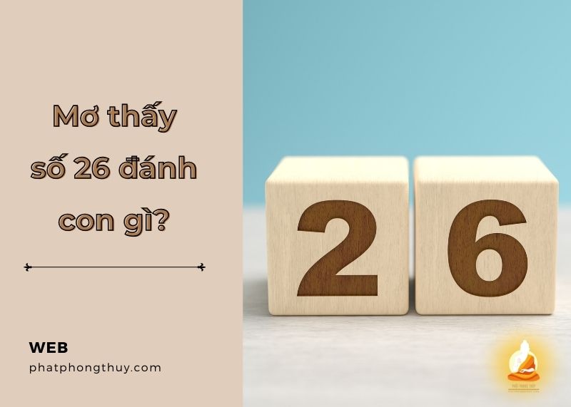 Nằm mơ thấy số 26 đánh con gì? Ý nghĩa điềm báo liên quan