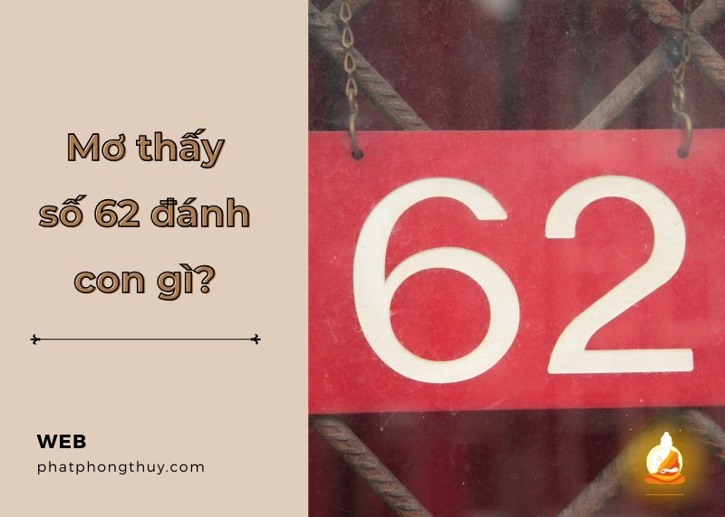 Giải mã nằm mơ thấy số 62 đánh con gì? Điềm báo gì?