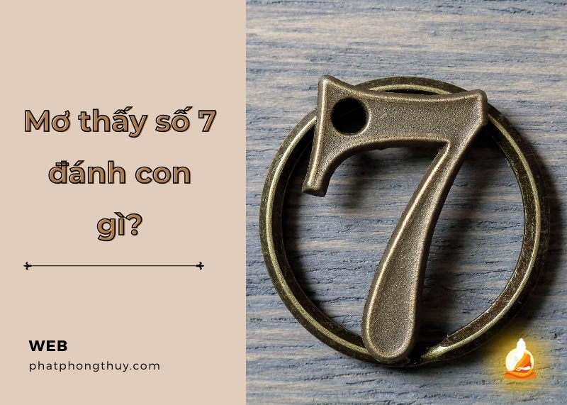 Mơ thấy số 7 đánh con gì? Điềm báo của giấc mơ số 7 là gì?