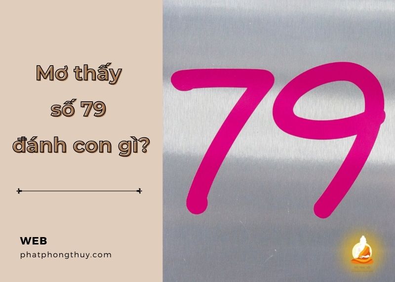 Mơ thấy số 79 đánh con gì? Giải mã giấc mơ và tìm kiếm vận may
