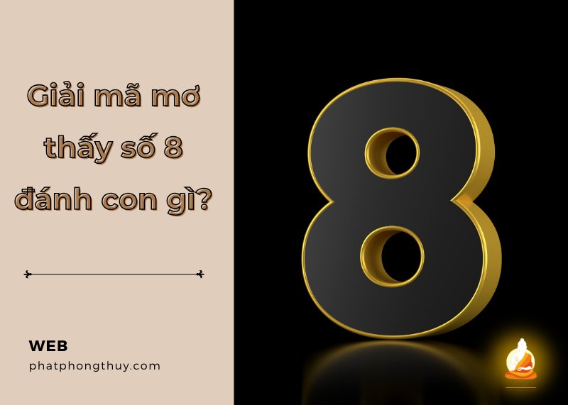 Giải mã nằm mơ thấy số 8 đánh con gì? Ý nghĩa điềm báo?