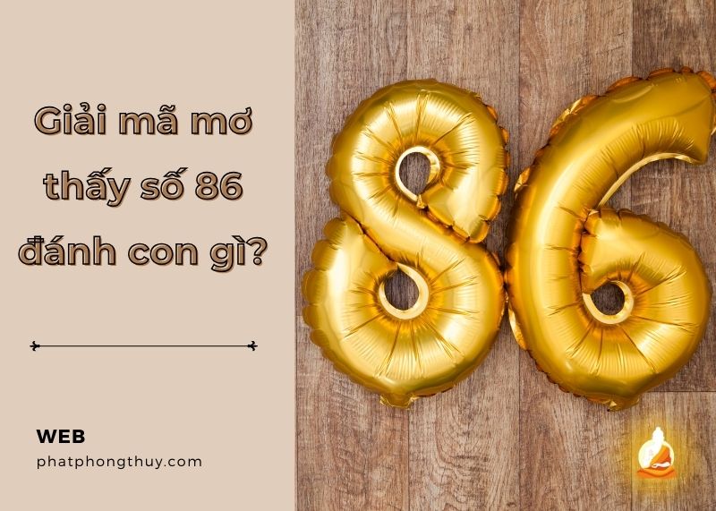 Giải mã nằm mơ thấy số 86 đánh con gì để vận may tấn tới?