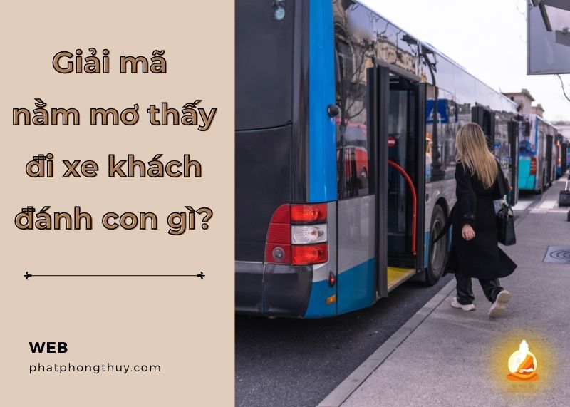 Nằm mơ thấy đi xe khách đánh con gì? Cẩm nang giải mã chi tiết