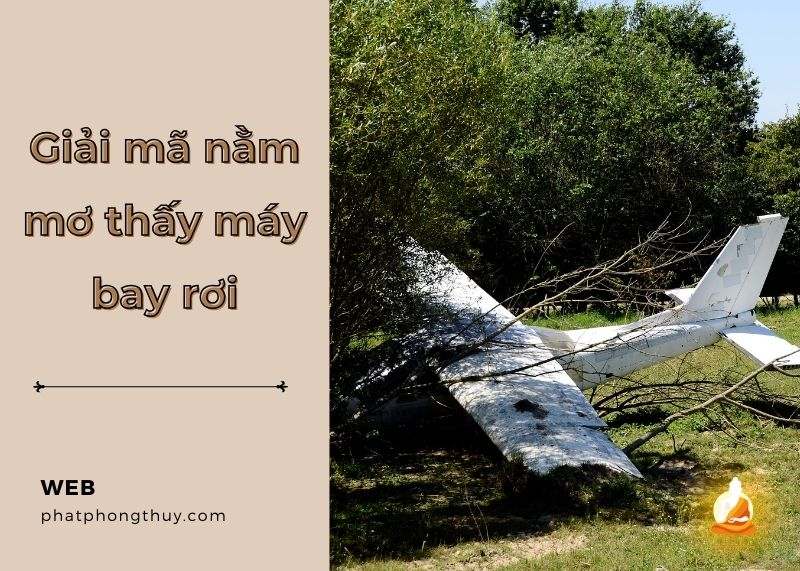 Giải mã nằm mơ thấy máy bay rơi - Điềm báo hay lời cảnh tỉnh?