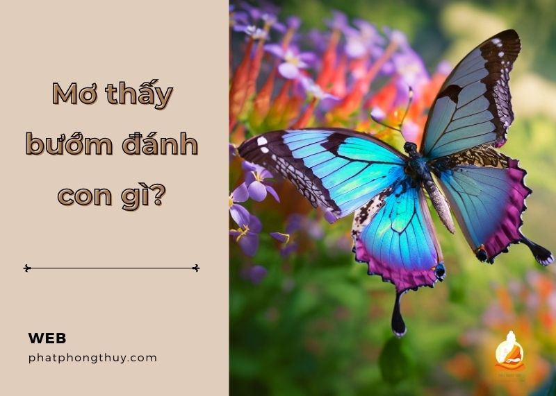 Giải đáp: Mơ thấy bướm đánh con gì? Bật mí các con số liên quan