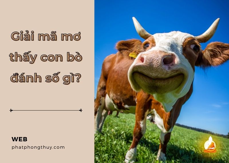Nằm mơ thấy con bò đánh số gì? Sự thật bất ngờ bạn chưa biết