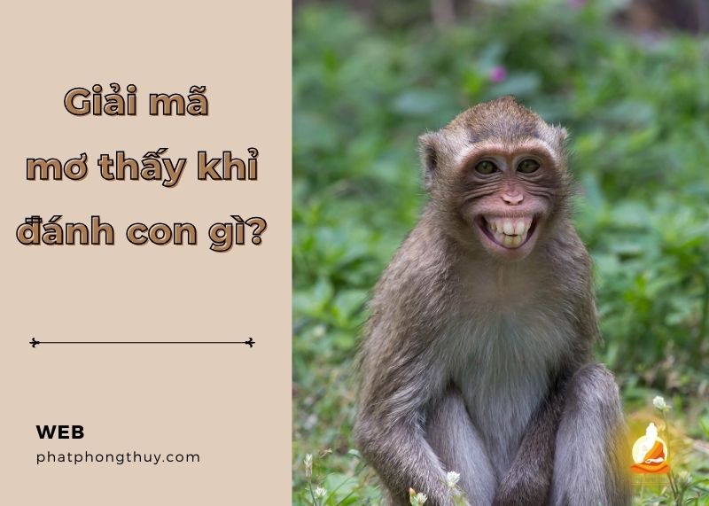 Hé lộ bí mật mơ thấy khỉ đánh con gì để thu hút tài lộc