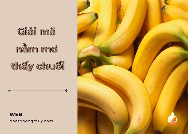 Giải mã nằm mơ thấy chuối là điềm báo gì? Tốt hay xấu?