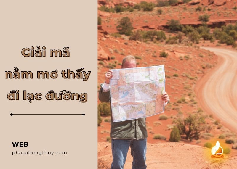 Giải mã bí ẩn nằm mơ thấy đi lạc đường: Liệu bạn có đang lạc lối?