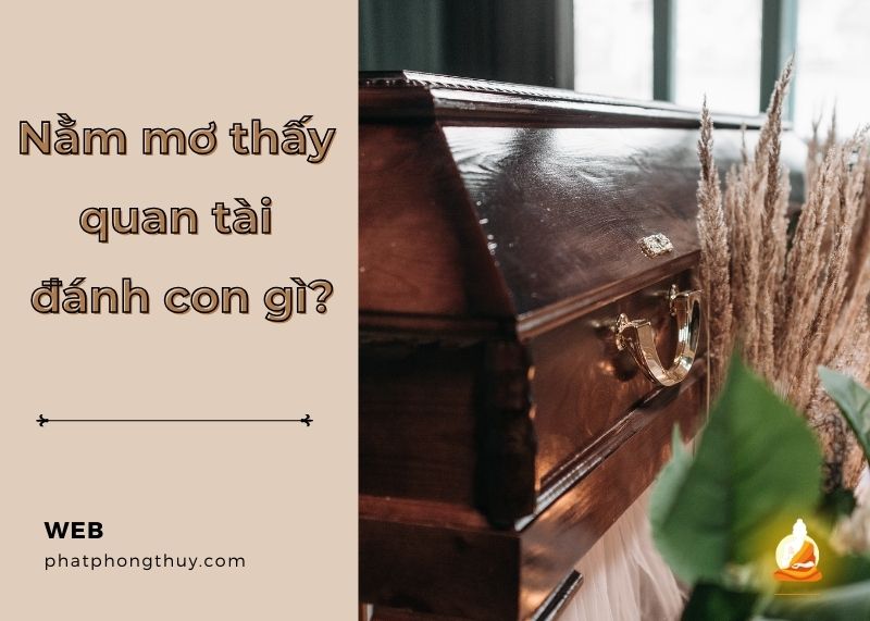 Nằm mơ thấy quan tài đánh con gì rước tài lộc? Giải đáp chi tiết
