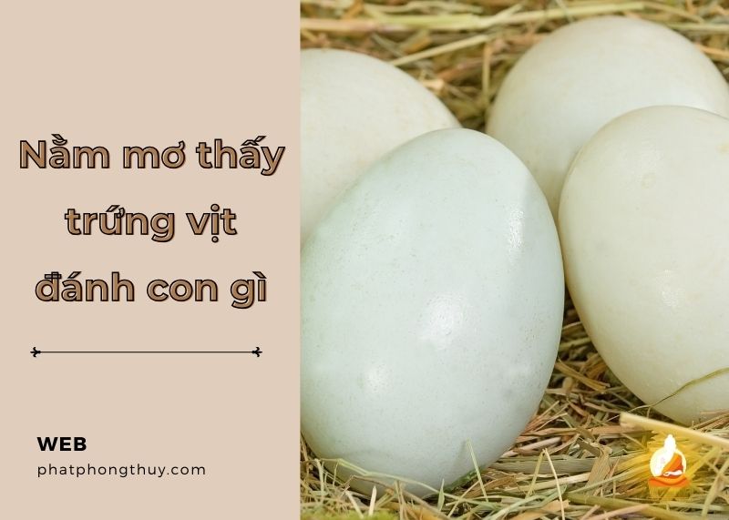 Mơ thấy trứng vịt đánh con gì? Con số may mắn liên quan