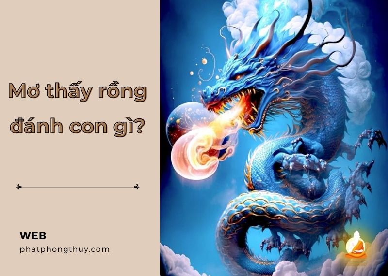 Mơ thấy rồng đánh con gì để thu hút tài lộc? Các con số may mắn