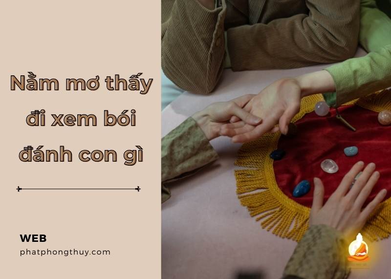 Nằm mơ đi xem bói đánh con gì? Con số may mắn và ý nghĩa