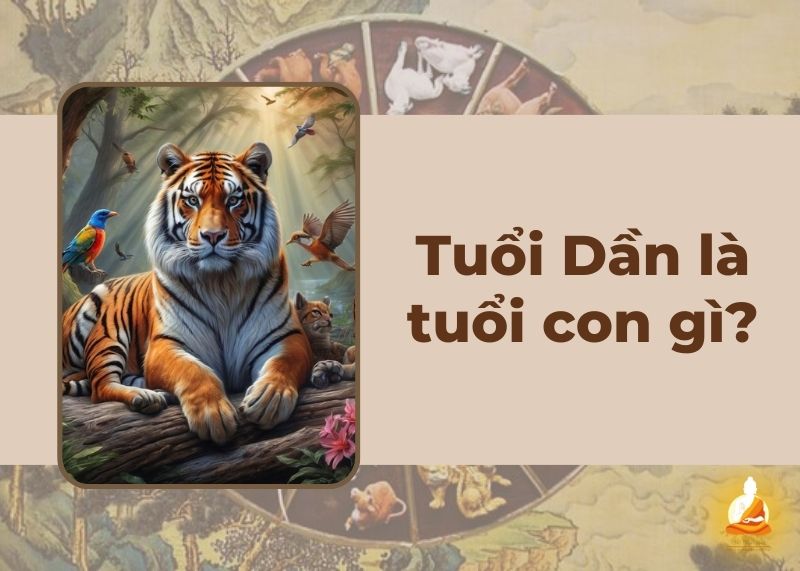 Tuổi Dần là tuổi con gì? Giải mã số phận từ A đến Z
