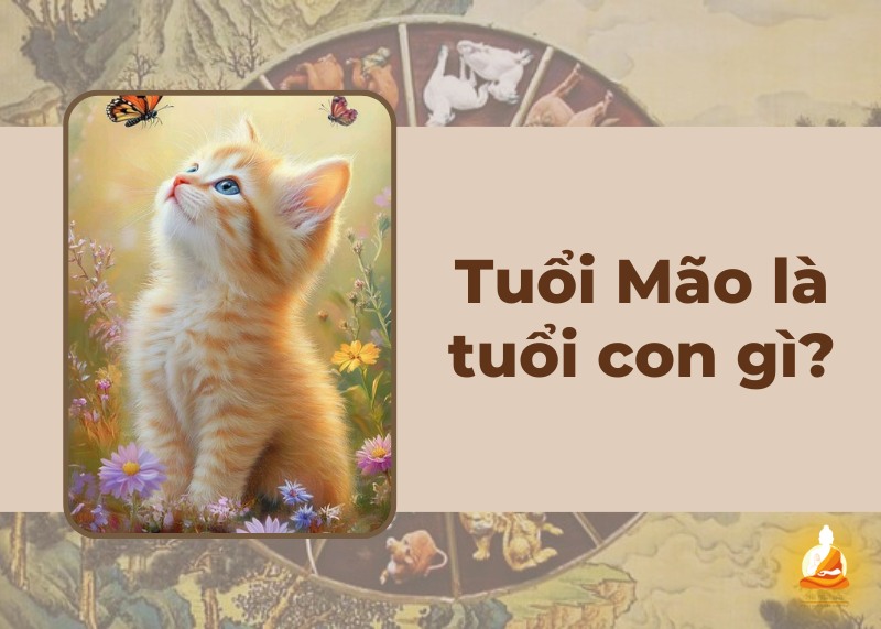 Tuổi Mão là tuổi con gì? Giải mã về người tuổi Mão từ A đến Z