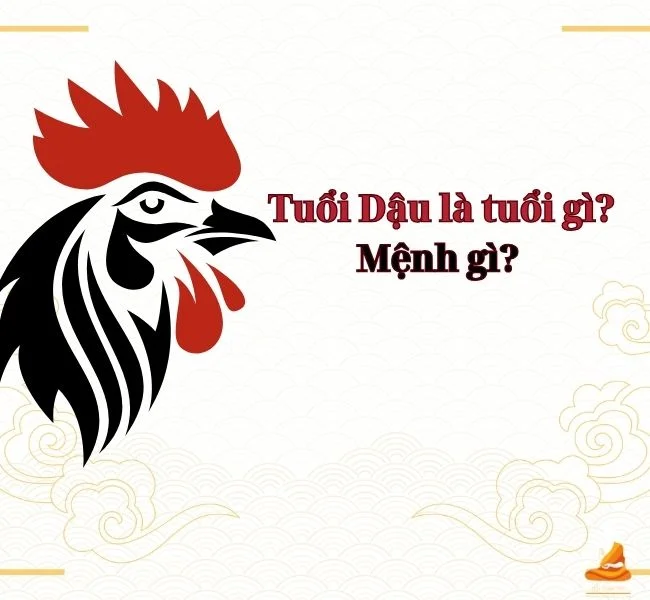Tuổi Dậu là tuổi con gì? Giải mã về người tuổi Dậu từ A đến Z 11 Tìm hiểu người tuổi Dậu thuộc mệnh nào?